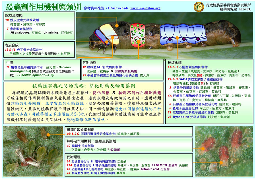 圖解殺蟲劑作用機制與類別